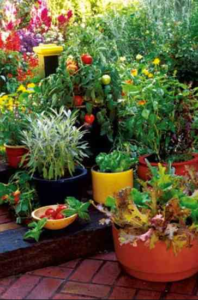 best soil for containers